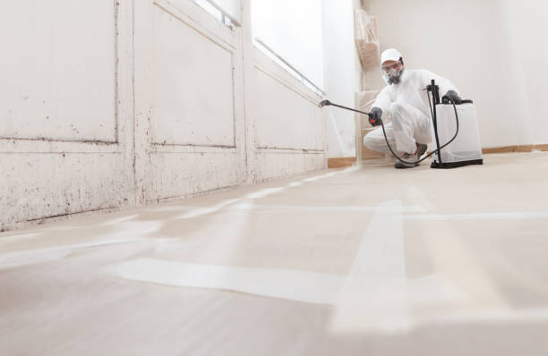 24/7 Emergency Black Mold Removal experts in Union, OR